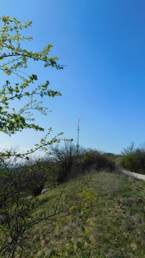 Gasthof Gruener Baum Oberlangfurth Εξωτερικό φωτογραφία